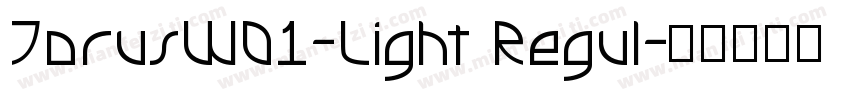 TorusW01-Light Regul字体转换